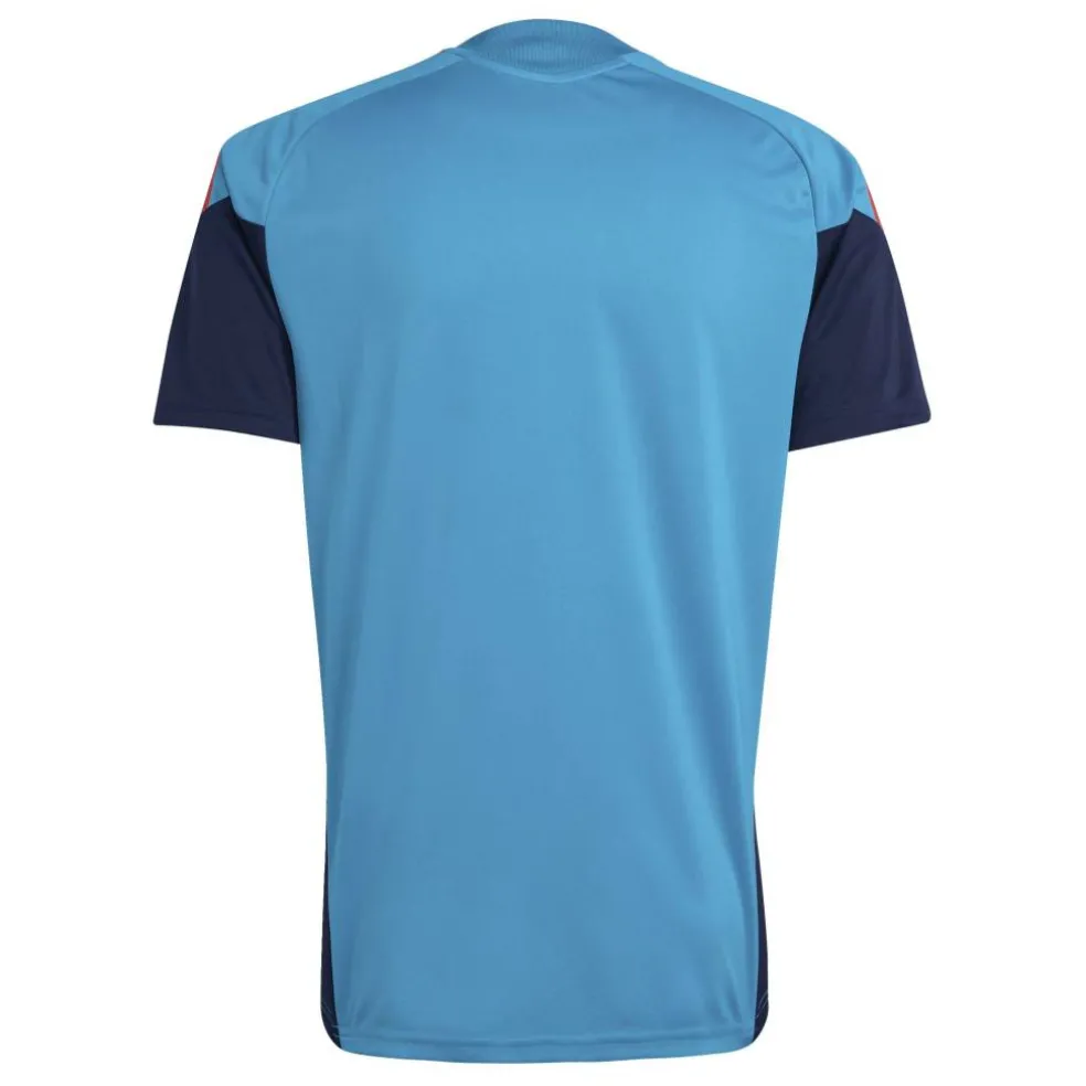 Spain World Cup Training Shirt 2026 Mens
