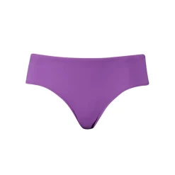 Swim Hipster Briefs Womens