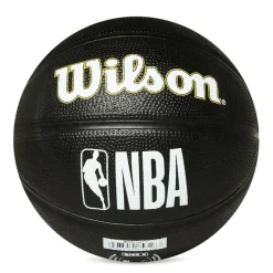 Team Mini BBall