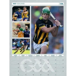 Team Calendar