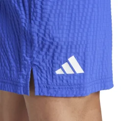 Tennis Pro 7-inch Seersucker Shorts Mens