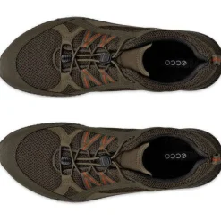 Terracruise GTX