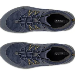 Terracruise GTX