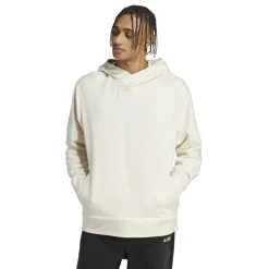 Terrex Hoodie Mens