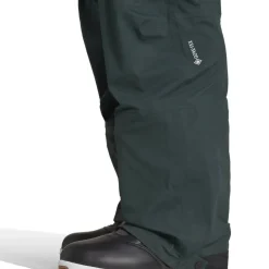 TERREX 3Layer Snow Pants Mens