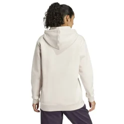Terrex Logo Hoodie Womens