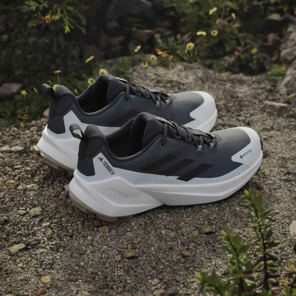 Terrex Trailmaker 2 GORE-TEX Hiking Shoes Mens