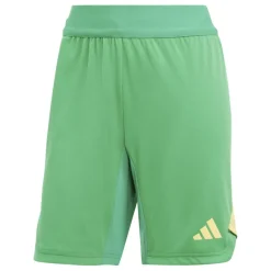 Tiro 24 Pro Goalkeeper Shorts Womens