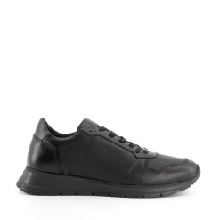 Treats Trainers