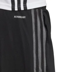 Trio 21 Tracksuit Bottoms Mens