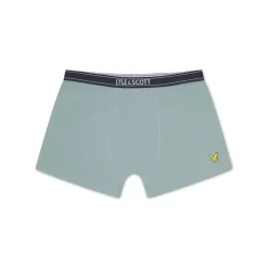 Trunks Underwear