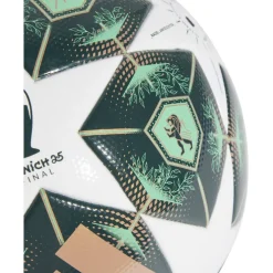 UCL League Football 2024 2025