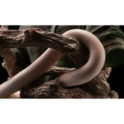 U&I Metal Gear Solid Delta: Snake Eater Collectors Edition