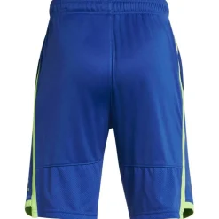 Under Stunt 3.0 Shorts Juniors