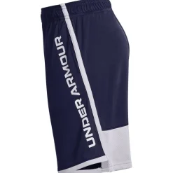 Under Stunt 3.0 Shorts Juniors