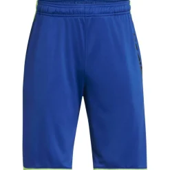 Under Stunt 3.0 Shorts Juniors
