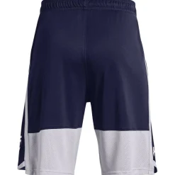 Under Stunt 3.0 Shorts Juniors