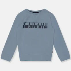 Unisex Kids Crew Neck Printed Brushed Back Crew Sweatshirt
