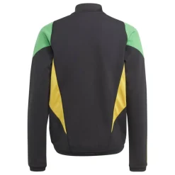 Unisex Kids' Jamaica Tracksuit Top