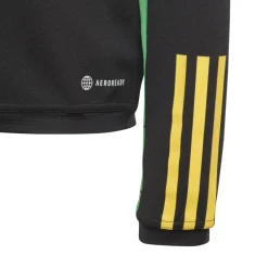 Unisex Kids' Jamaica Tracksuit Top