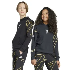 Unisex Kids' Licensed Overhead Hoodie