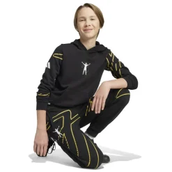 Unisex Kids' Licensed Overhead Hoodie