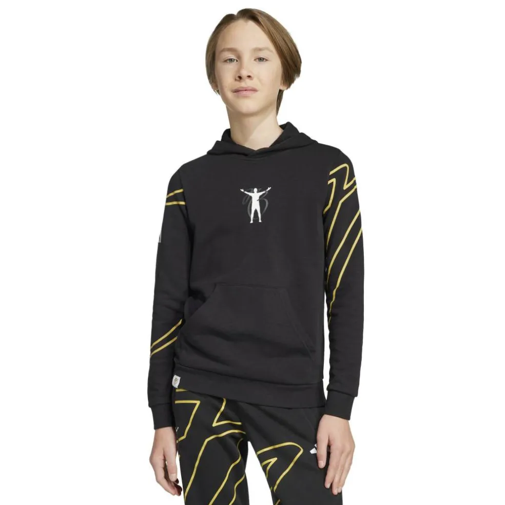 Unisex Kids' Licensed Overhead Hoodie