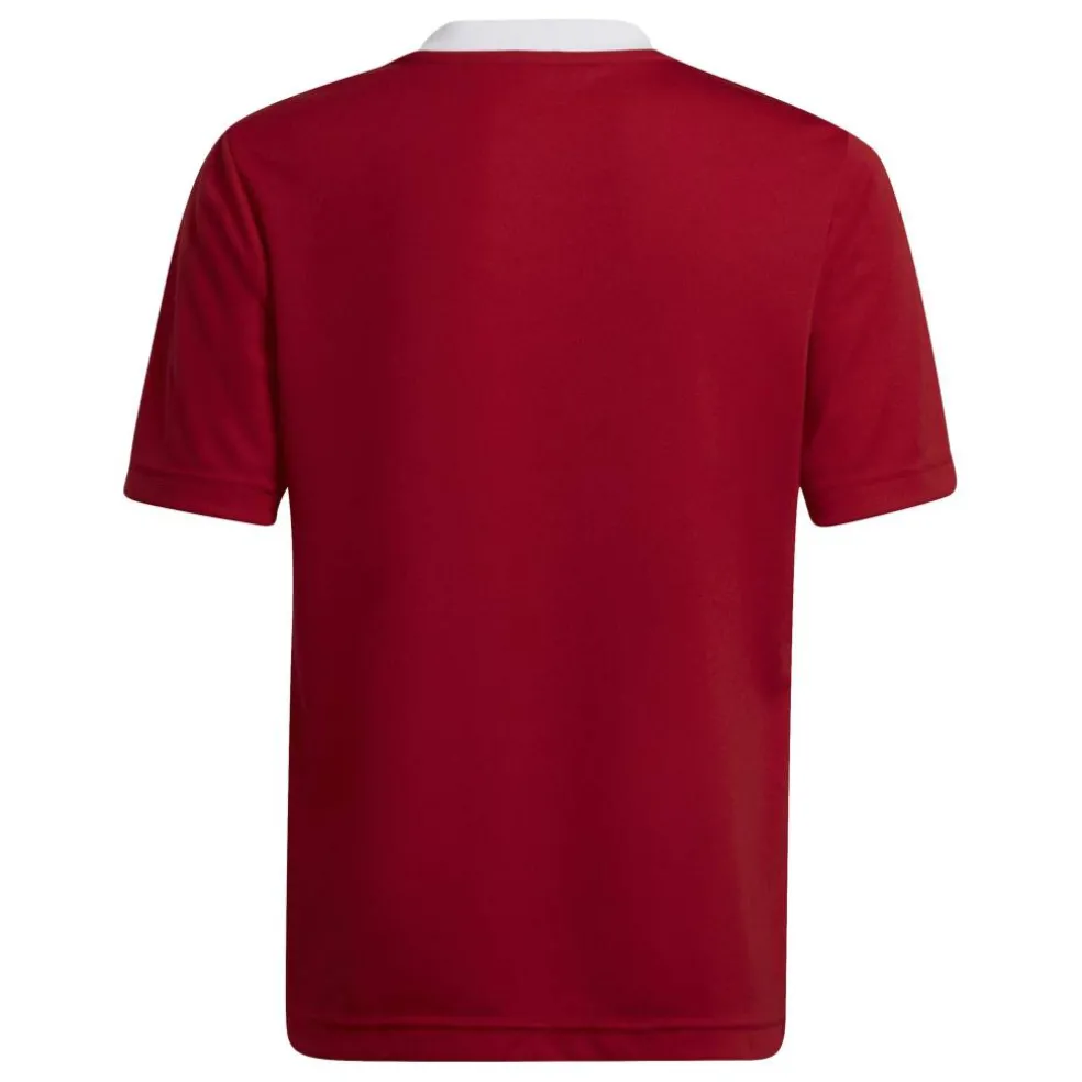 Unisex Kids Short Sleeve Performance T-Shirt