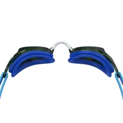 Vanquisher Mirror Race Goggles