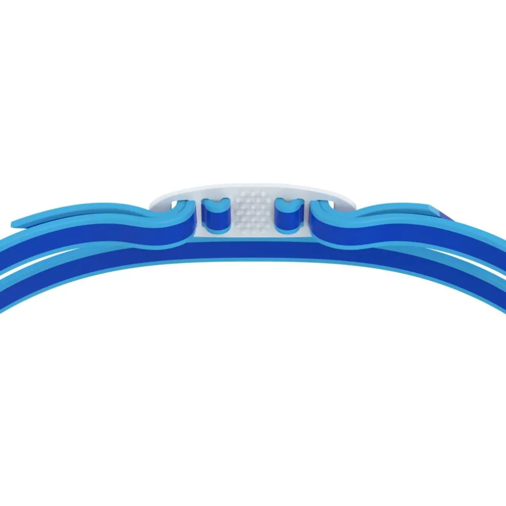Vanquisher Mirror Race Goggles