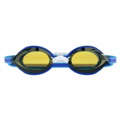 Vanquisher Mirror Race Goggles