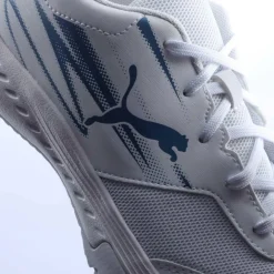 Varion II Trainers