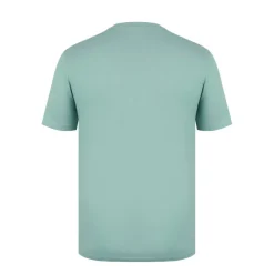 V Neck T Shirt Mens