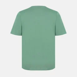 V Neck T Shirt Mens
