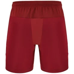 Wales Bermuda Shorts 2025 Adults