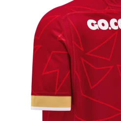 Wales Rugby Home Pathway Shirt 2024 Adults