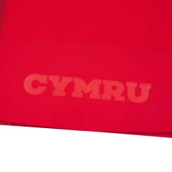 Wales Rugby Home Shirt 2025 Adults