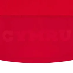 Wales Rugby Home Shirt 2025 Adults