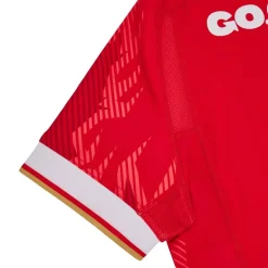 Welsh Rugby Union Authentic Home Shirt 2024 Adults