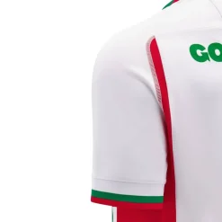 Welsh Rugby Union Away Shirt 2024 Womens