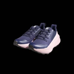 Women's Hike GTX Low Waterproof Trekking Shoes