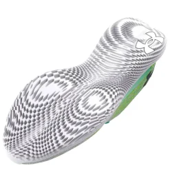 Women's Flow Vel Wind Fast Neutral Road Running Shoes
