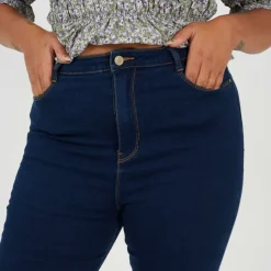 Womens Plus Size Mid Rise Skinny Jean