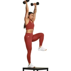 Women's Project Rock Performance Gym Legging