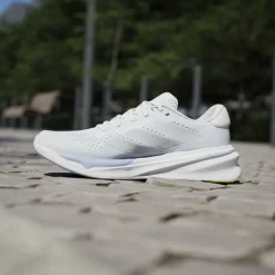 Women's Sprnv Strd Everyday Neutral Road Running Shoes